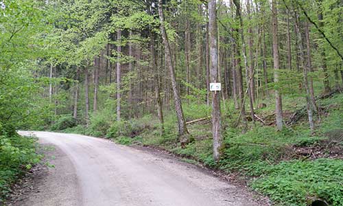 Teilnehmer werden